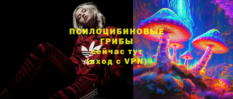 Галлюциногенные грибы Psilocybe  Арамиль 